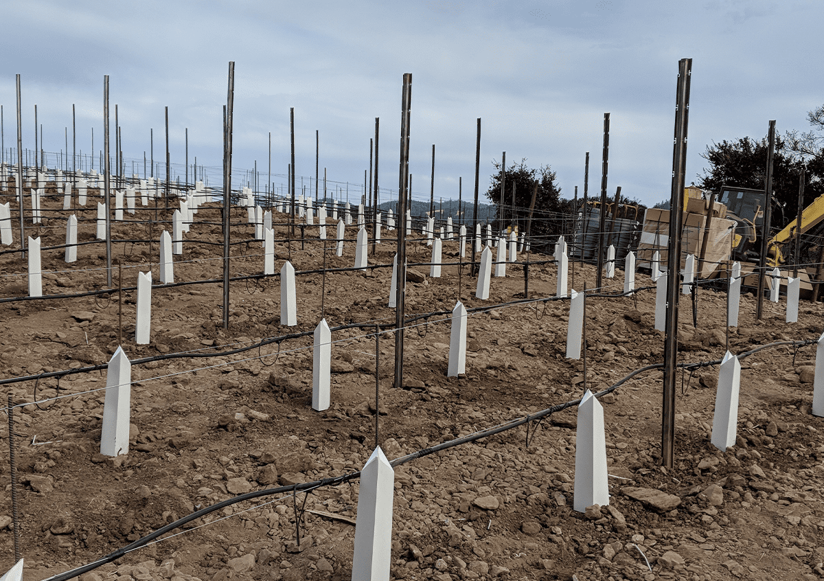 Tractor replanting our obsidian estate vineyard in 2018