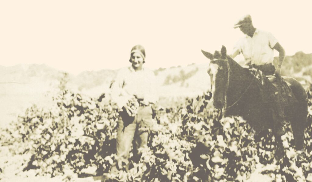 black and white photo of the original Rochioli family
