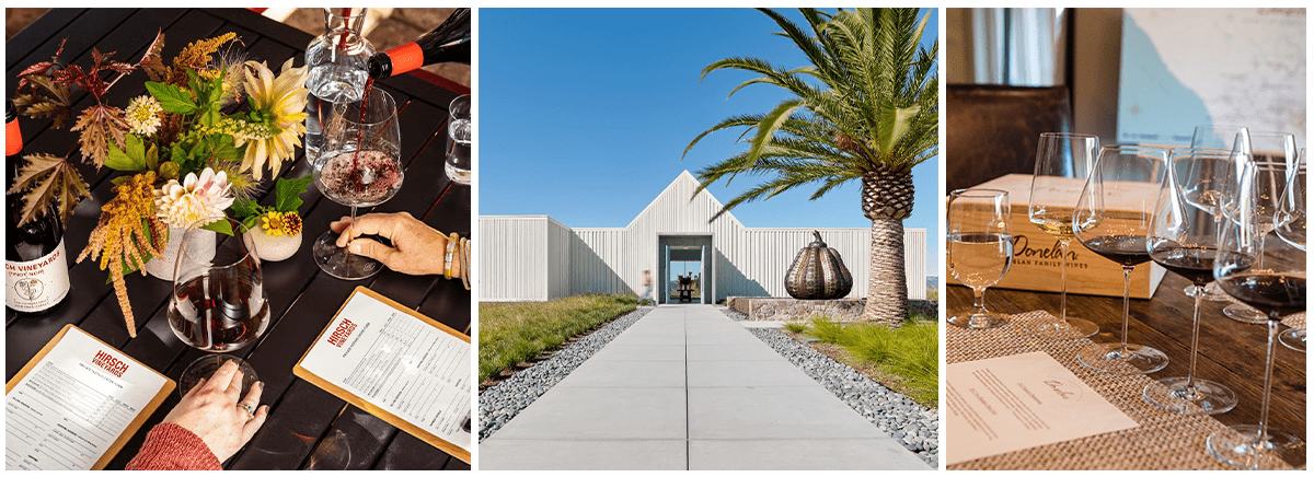 collage of best sonoma wineries