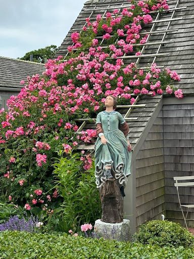 roses growing on a trellis along the side of a house